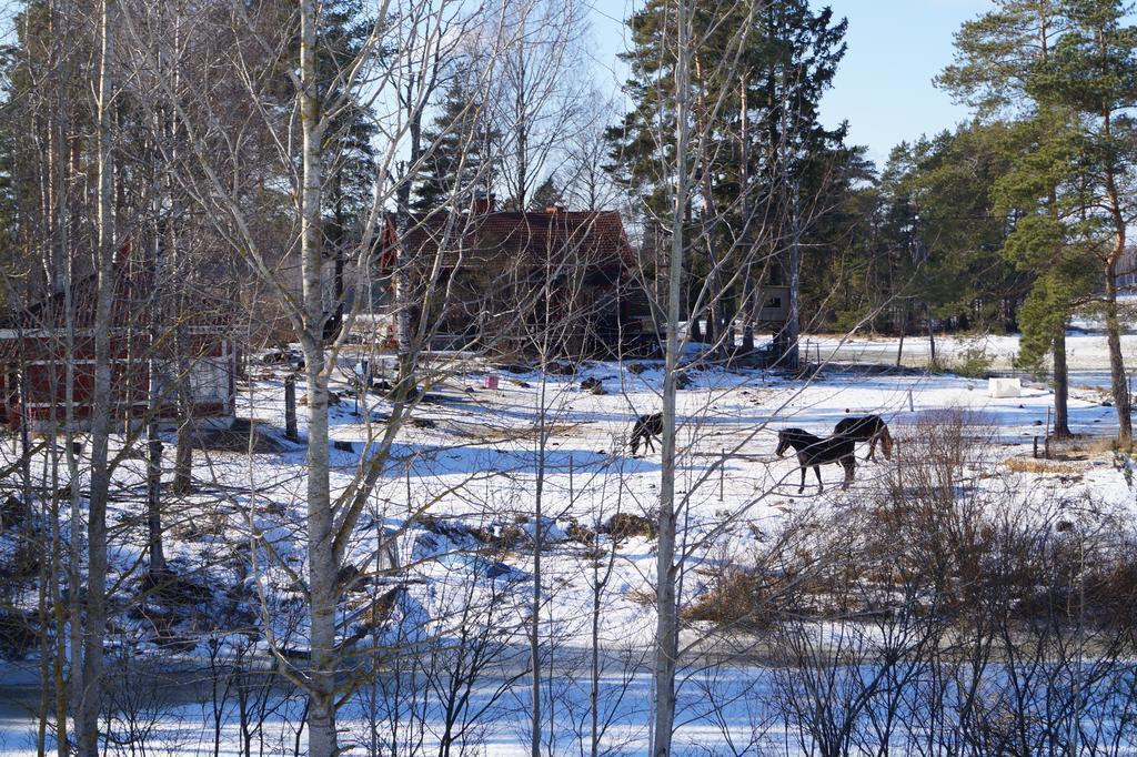 Silfvastas Holiday Homes Lapinjärvi Zewnętrze zdjęcie